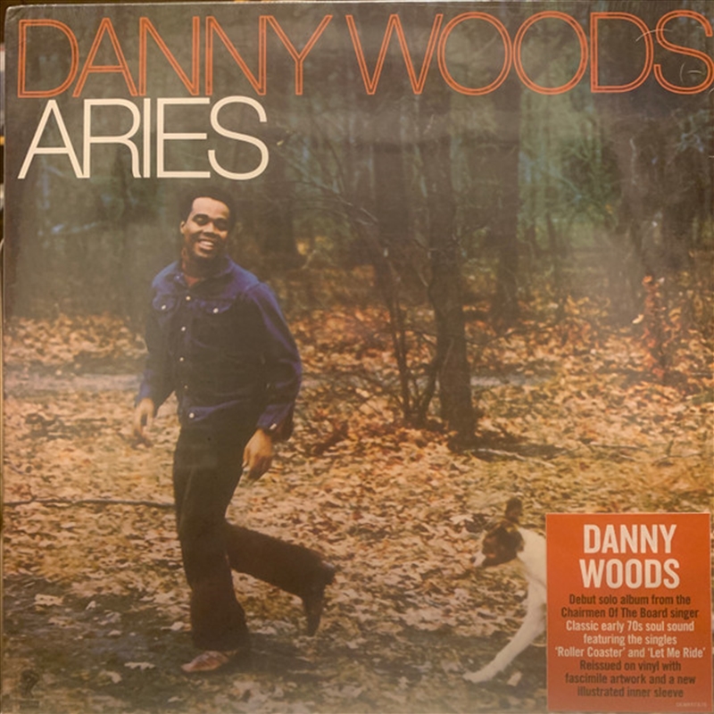 Airies [140-Gram Black Vinyl]/Product Detail/Pop