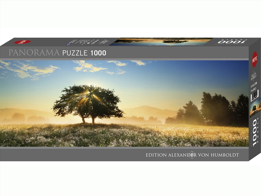 Panorama, Play Of Light 1000 Piece/Product Detail/Jigsaw Puzzles