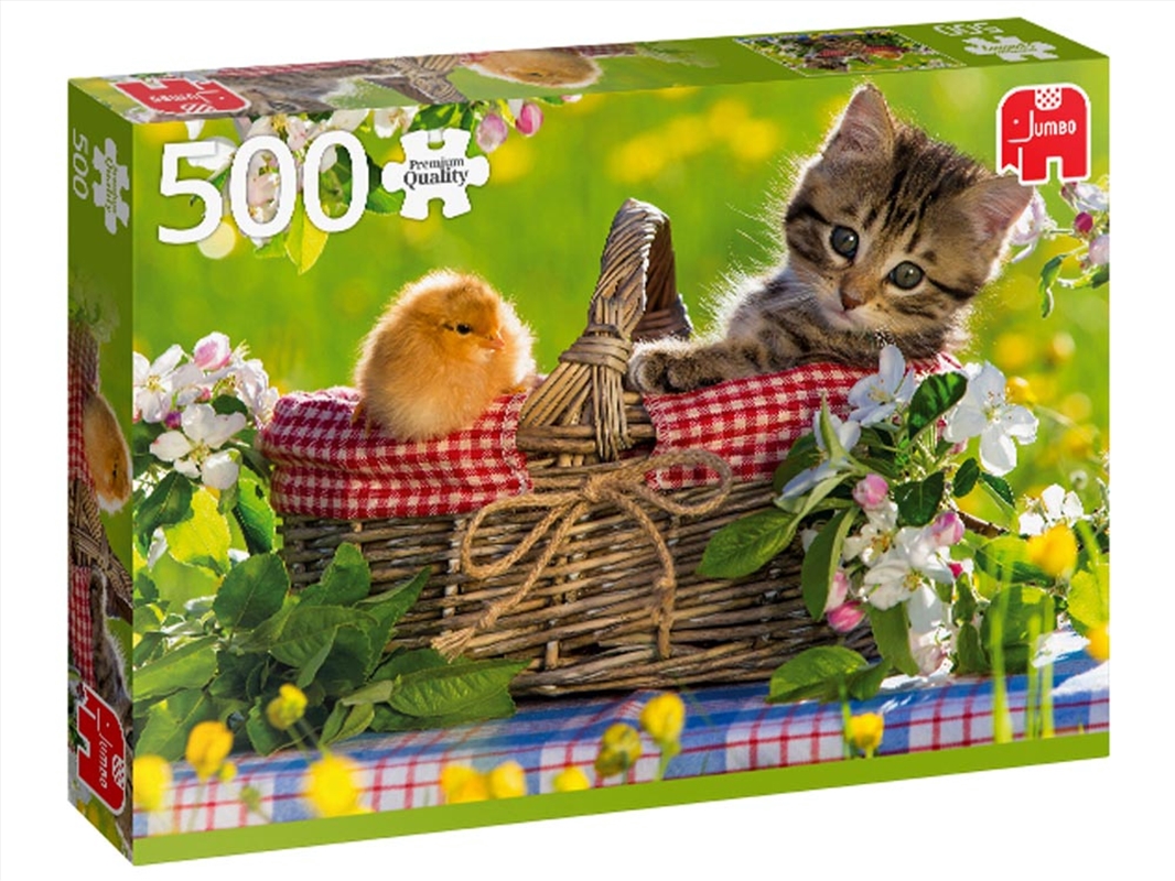 Ready For A Picnic 500 Pieces/Product Detail/Jigsaw Puzzles