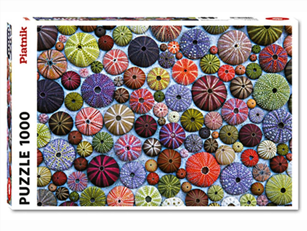 Sea-Urchin Shells 1000 Piece/Product Detail/Jigsaw Puzzles