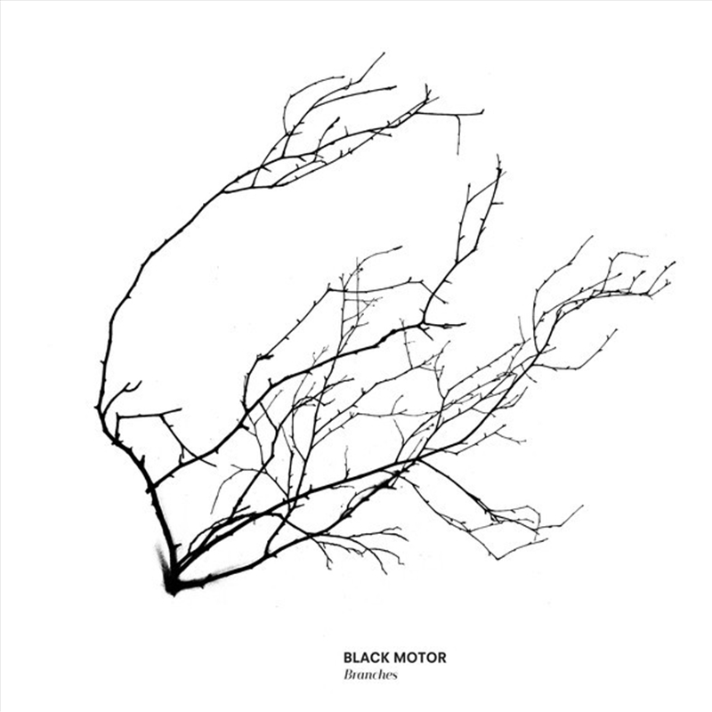 Branches/Product Detail/Jazz