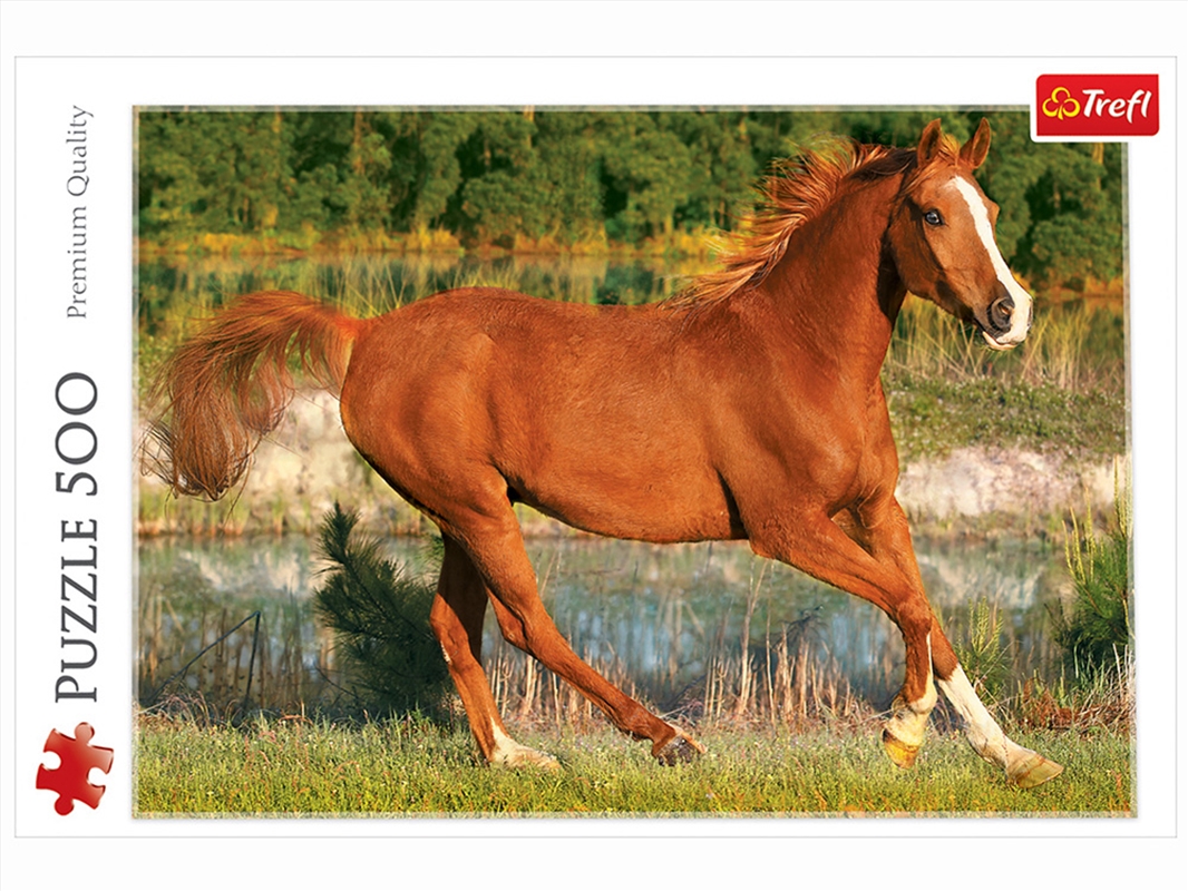 The Beauty Of Gallop 500 Piece/Product Detail/Jigsaw Puzzles