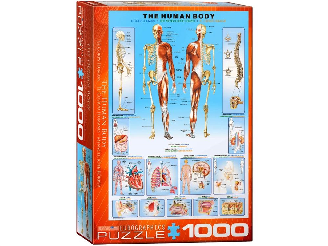 The Human Body 1000 Piece/Product Detail/Jigsaw Puzzles