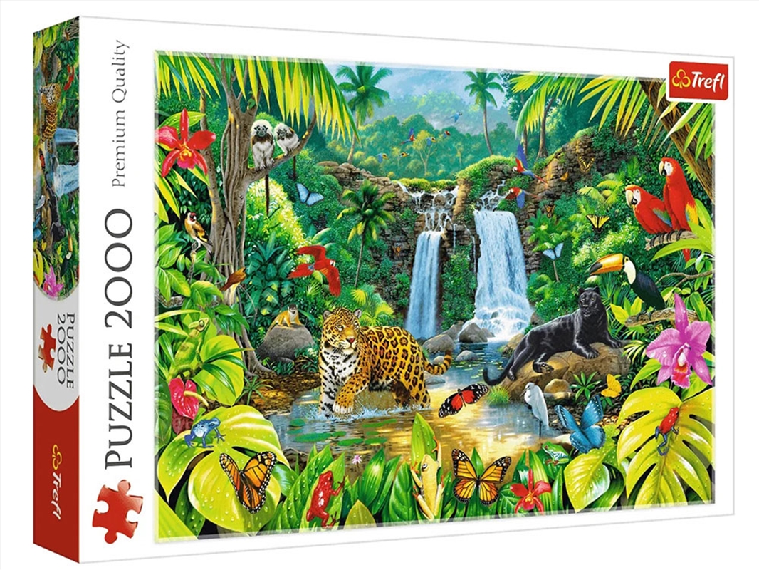 Tropical Forest 2000 Piece/Product Detail/Jigsaw Puzzles