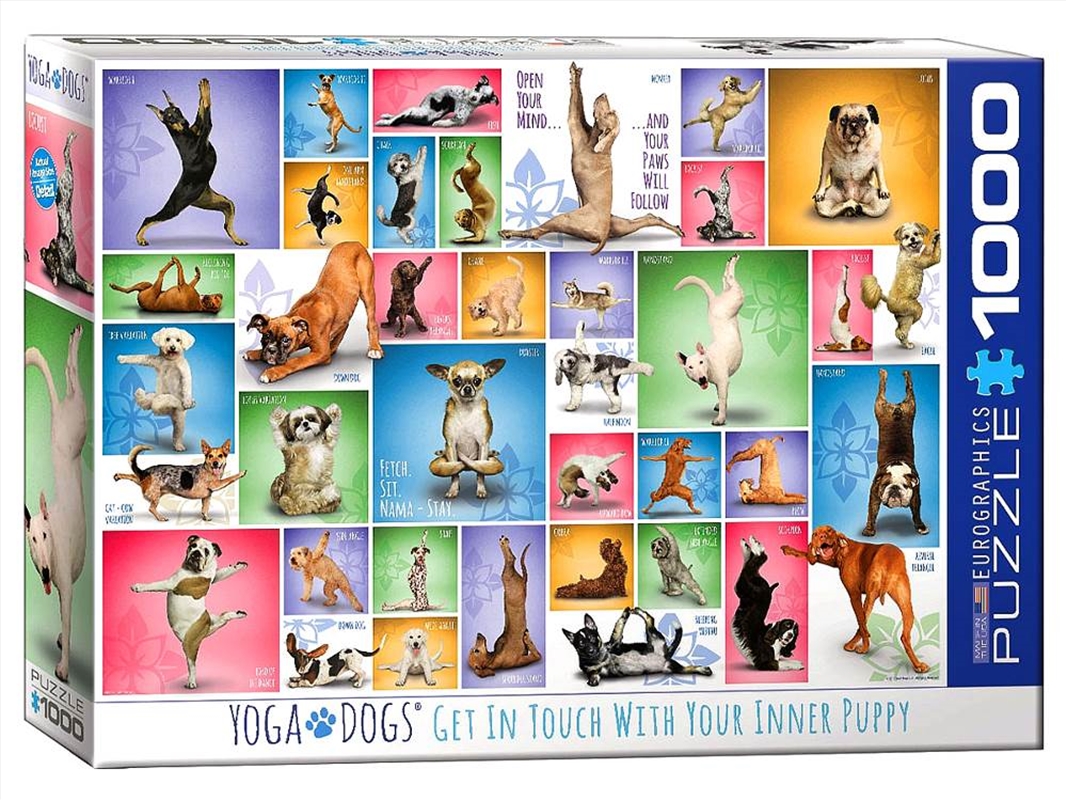 Yoga Dogs 1000 Piece/Product Detail/Jigsaw Puzzles