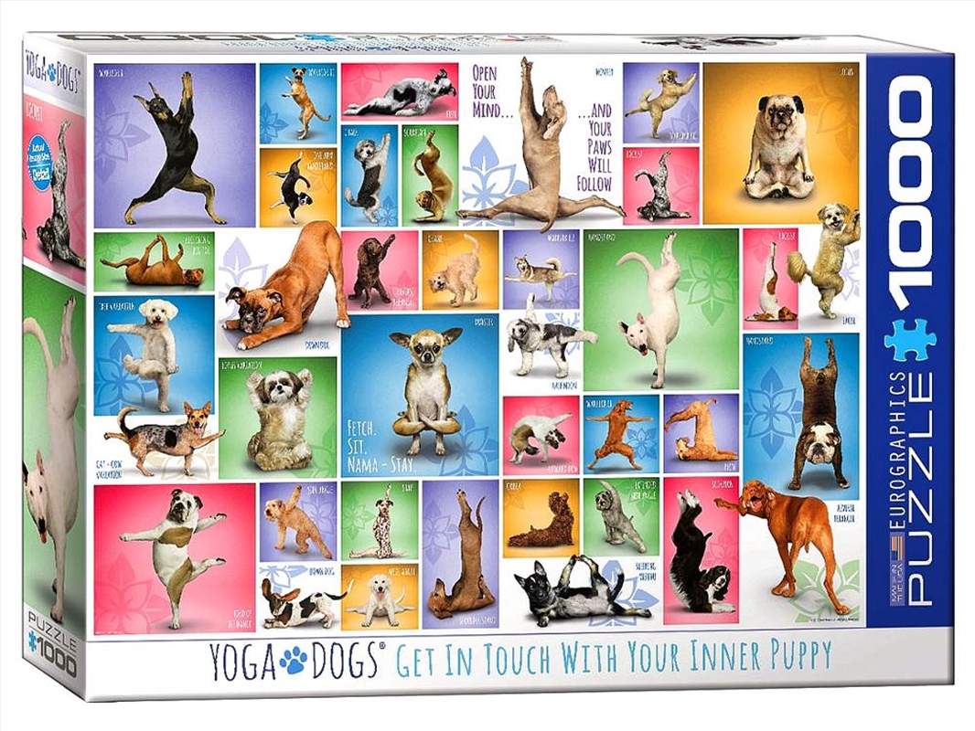 Yoga Dogs 1000 Piece/Product Detail/Jigsaw Puzzles