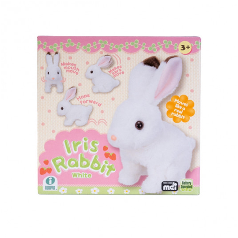 Bunny Animated Pet Toy/Product Detail/Toys