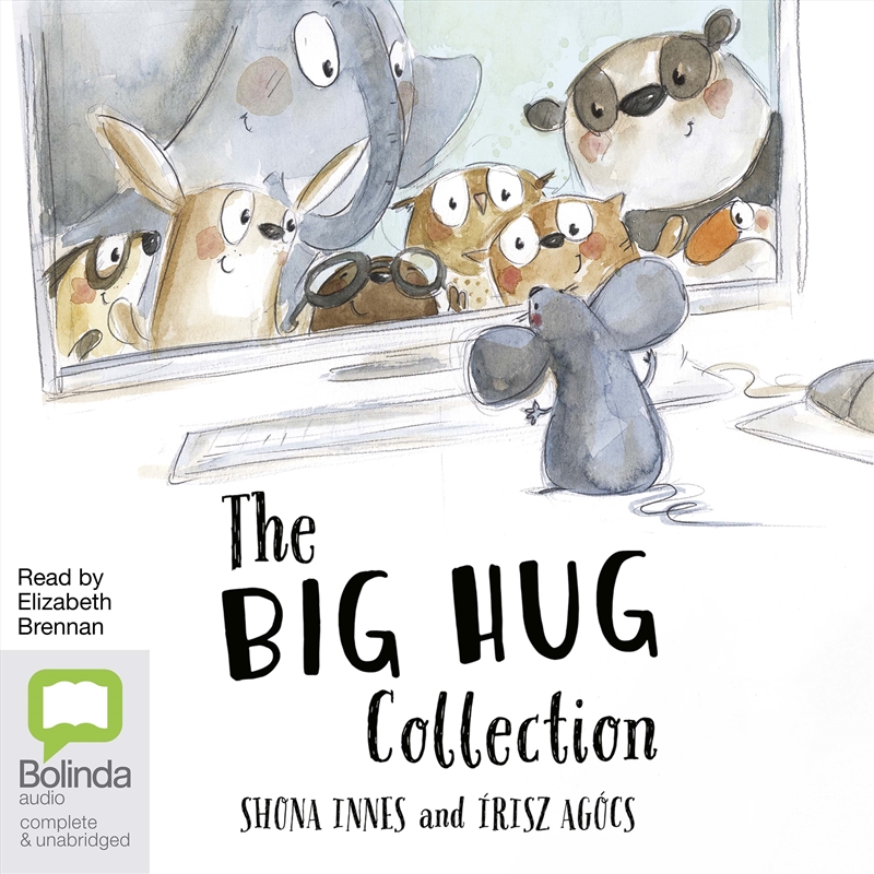 Big Hug Collection, The/Product Detail/Childrens Fiction Books