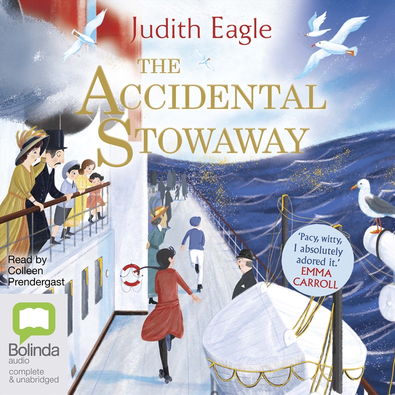 Accidental Stowaway, The/Product Detail/Childrens Fiction Books