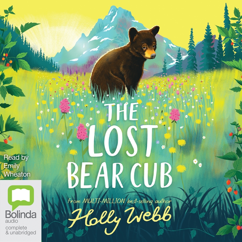 Lost Bear Cub, The/Product Detail/Childrens Fiction Books