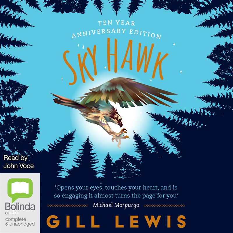 Sky Hawk/Product Detail/Childrens Fiction Books