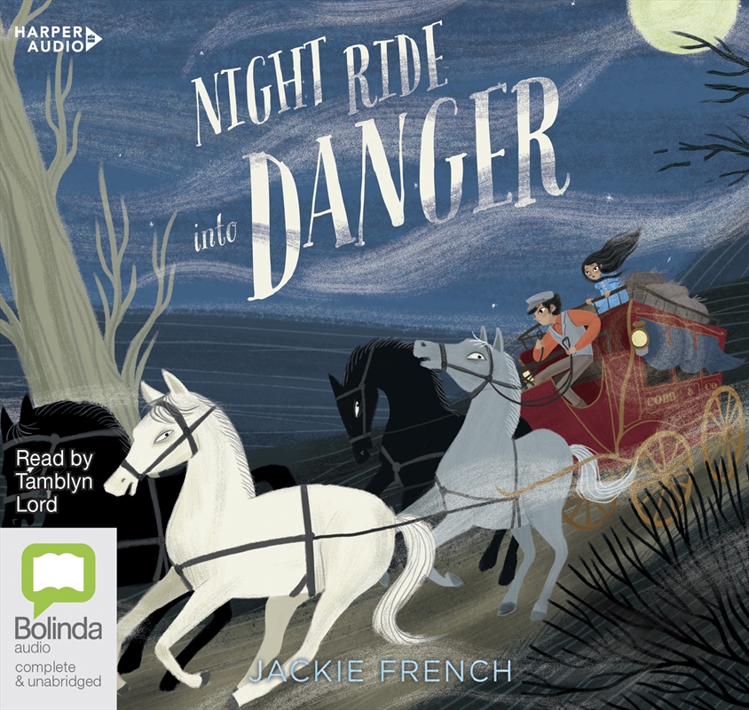 Night Ride into Danger/Product Detail/Childrens Fiction Books