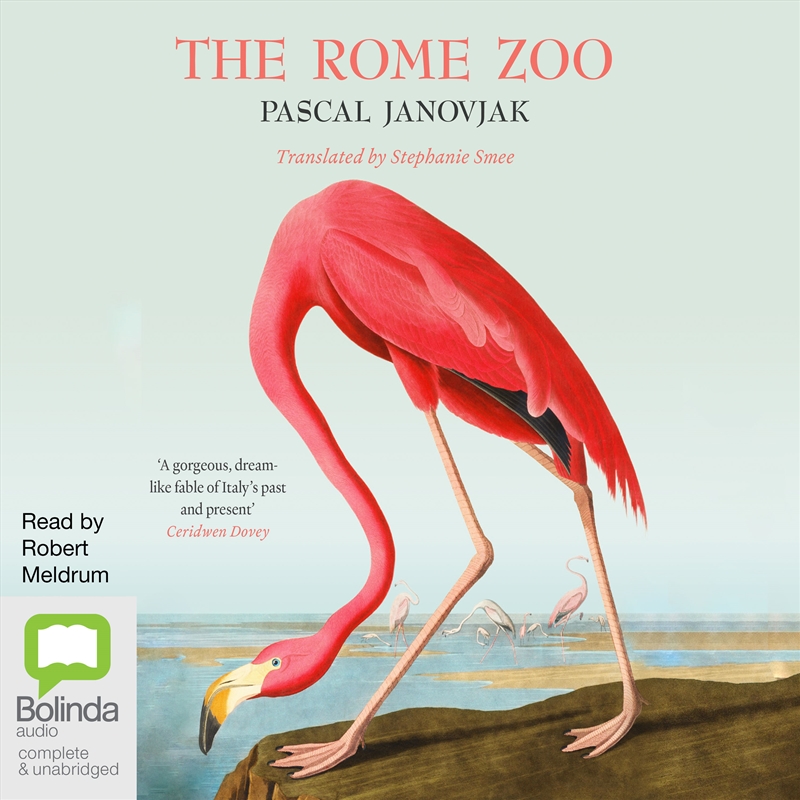 Rome Zoo, The/Product Detail/Historical Fiction