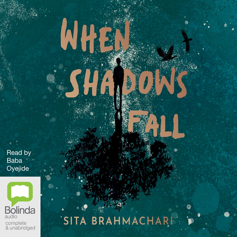 When Shadows Fall/Product Detail/Young Adult Fiction