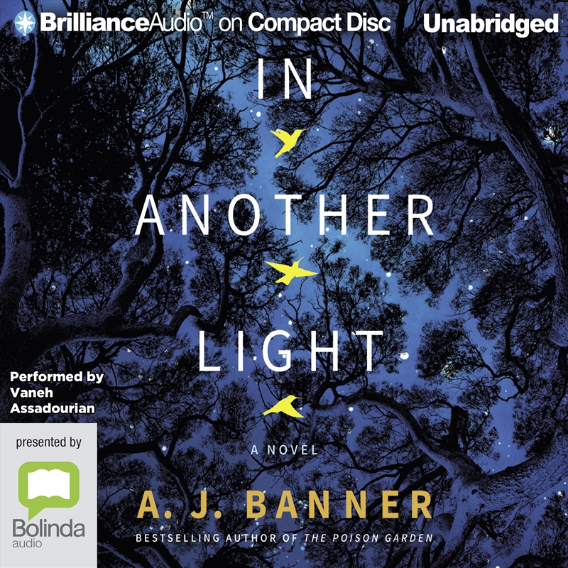 In Another Light/Product Detail/Crime & Mystery Fiction