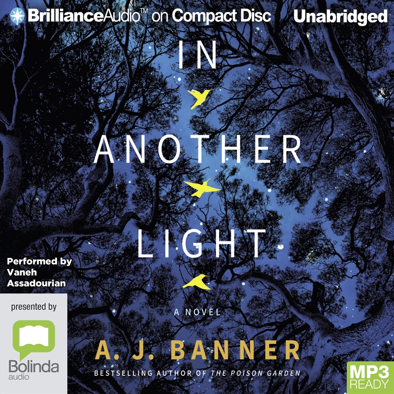 In Another Light/Product Detail/Crime & Mystery Fiction