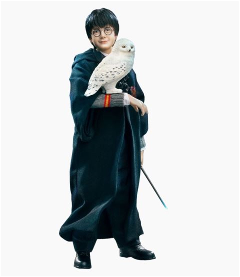 Harry Potter - Harry (child) 12" Action Figure/Product Detail/Figurines