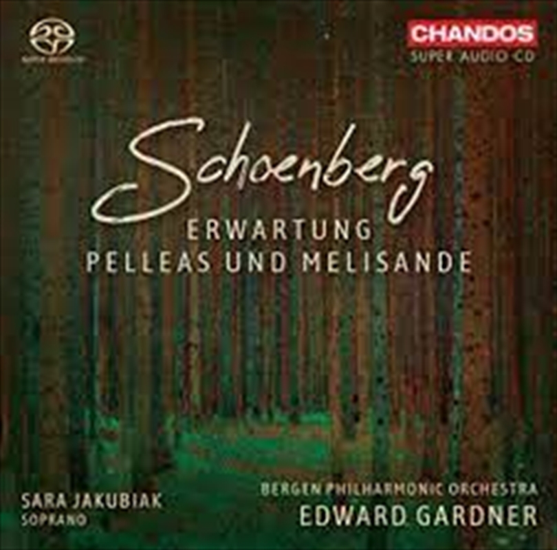 Pelleas Und Melisande Op.5, Er/Product Detail/Classical