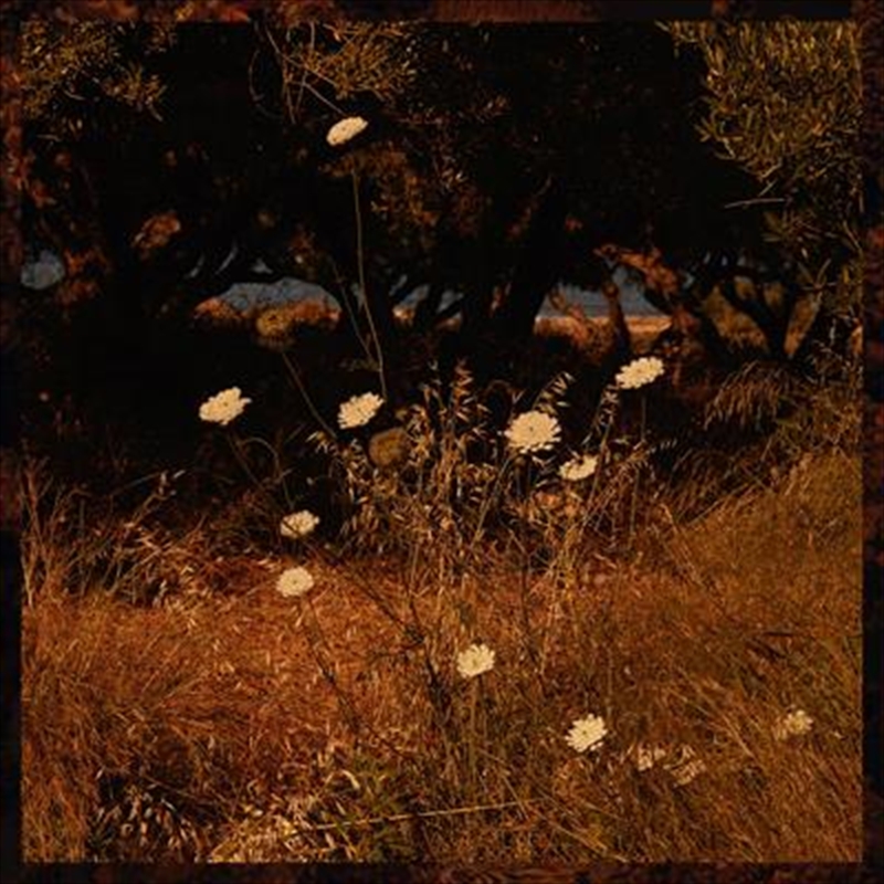 Earth Patterns - Brown Smoke/Product Detail/Jazz