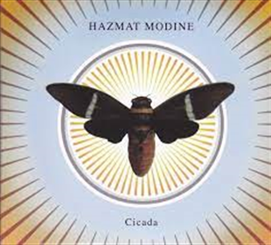 Cicada/Product Detail/Blues