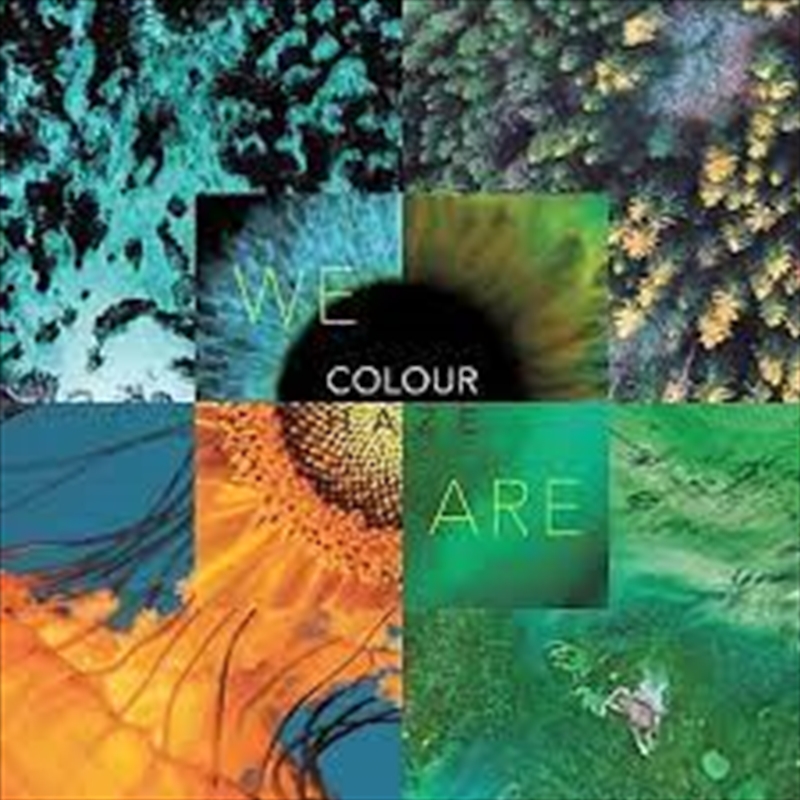 We Are/Product Detail/Rock
