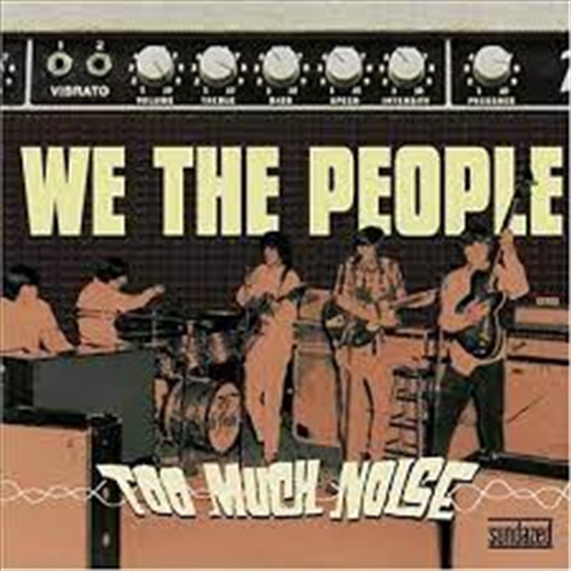 Too Much Noise/Product Detail/Rock