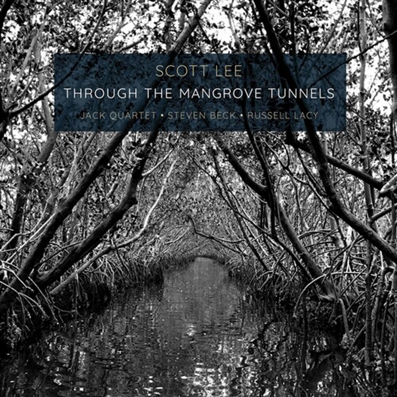 Through The Mangrove Tunnels/Product Detail/Pop