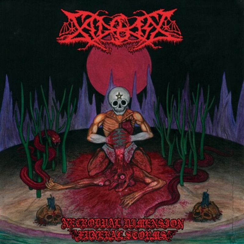 Necrodual Dimension Funeral Storms/Product Detail/Rock