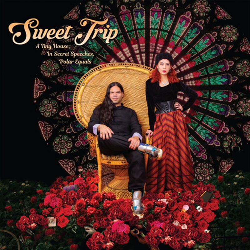 Tiny House In Secret: Cover A/Product Detail/Dance