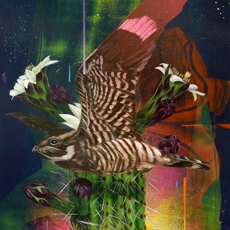 Playa Larga / 1900 Ocean Ave/Product Detail/Dance