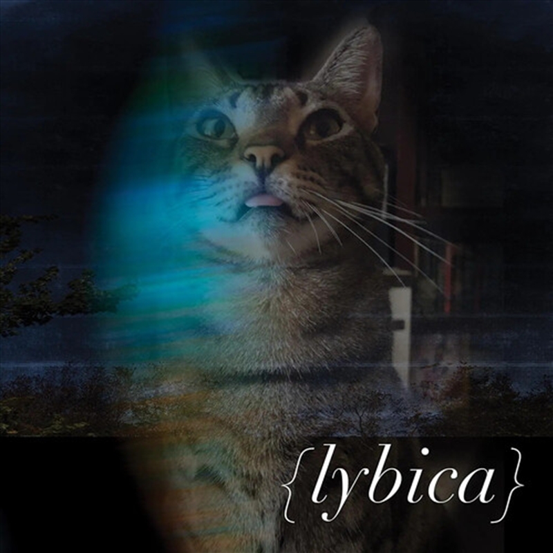 Lybica/Product Detail/Metal