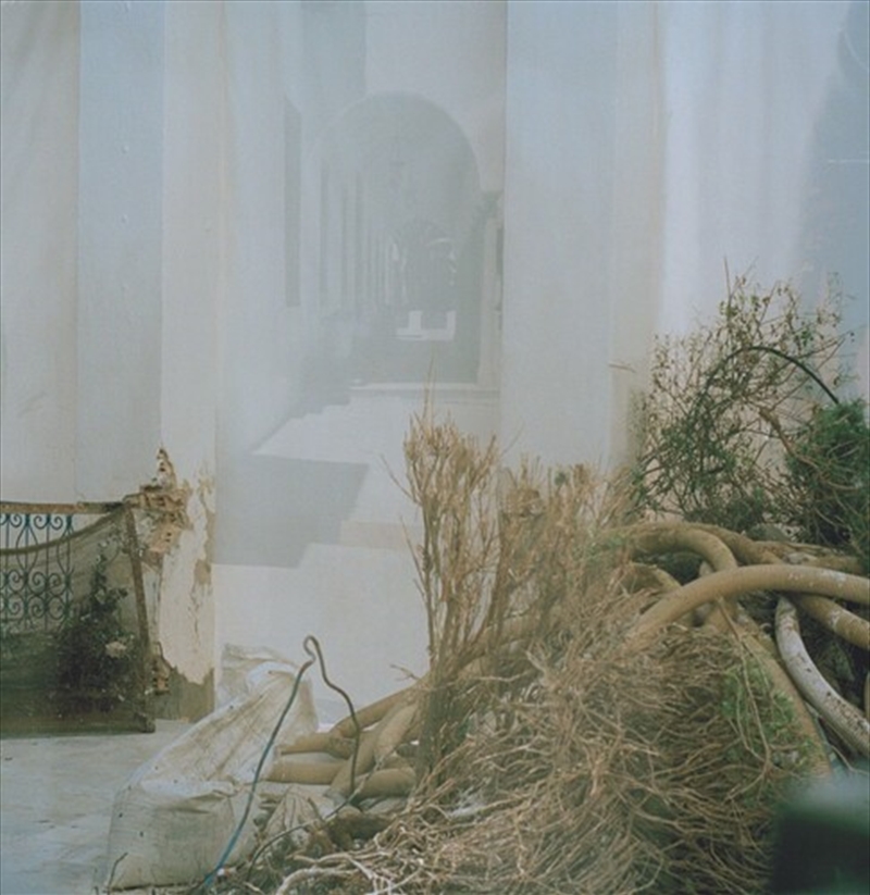 Galo/Product Detail/Rock/Pop