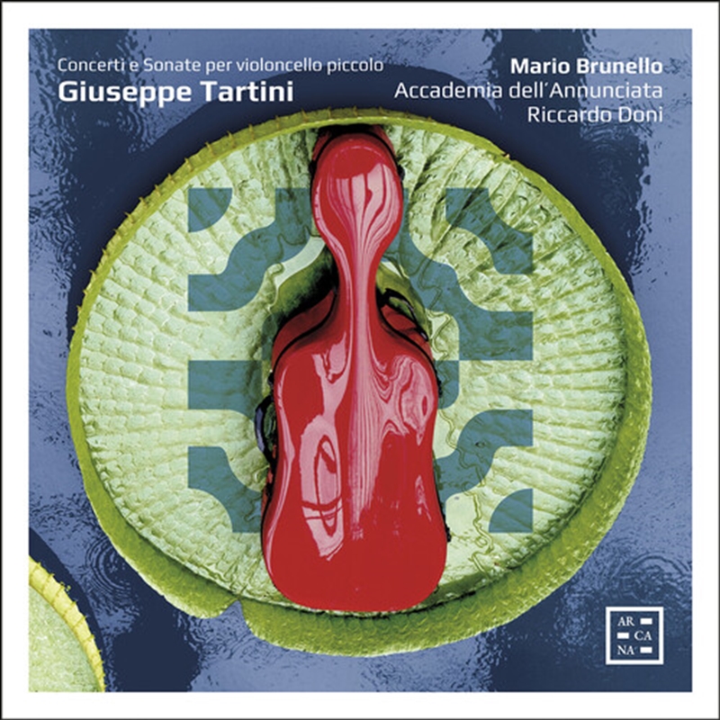 Concerti E Sonate/Product Detail/Classical