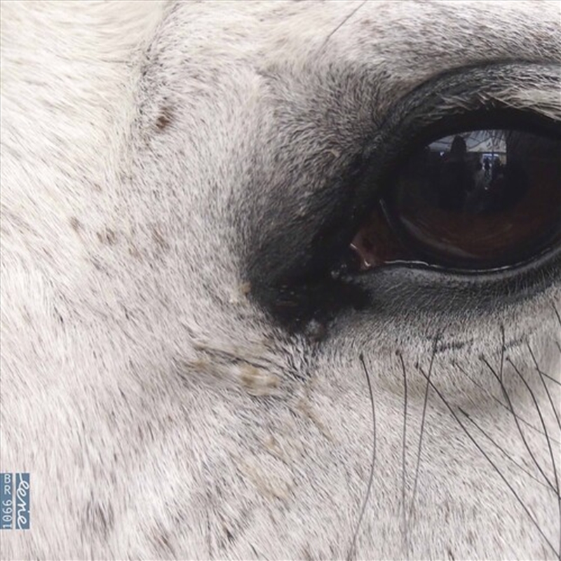 Openings Of The Eye/Product Detail/Classical
