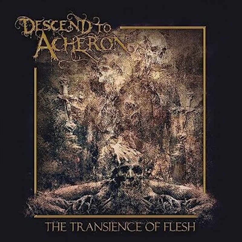 Transience Of Flesh/Product Detail/Rock/Pop