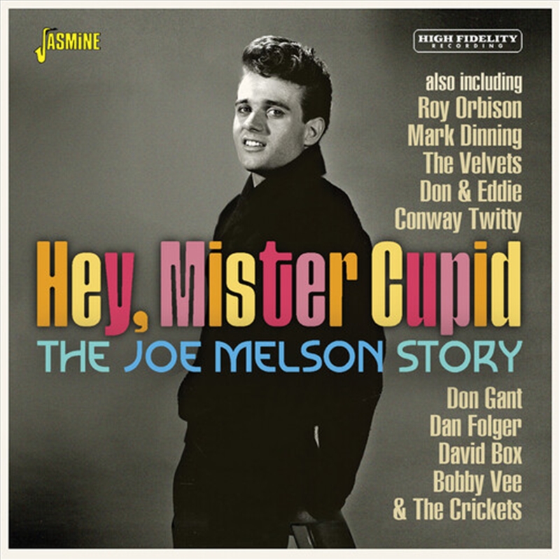 Joe Melson Story - Hey Mister C/Product Detail/Rock/Pop