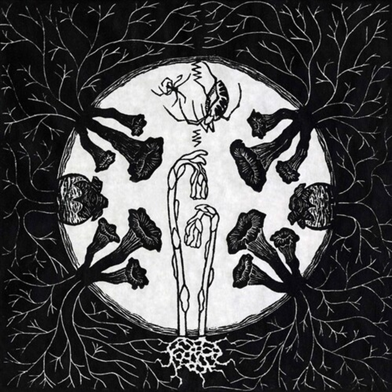 Tarantism/Product Detail/Rock/Pop