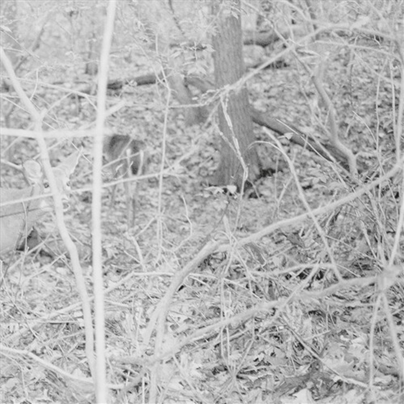 Bones For Time/Product Detail/Rock/Pop