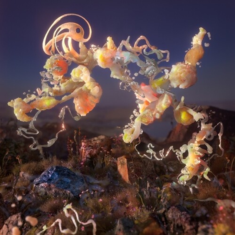 Spine/Product Detail/Dance