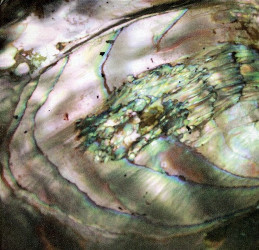 Ulalume/Product Detail/Rock/Pop