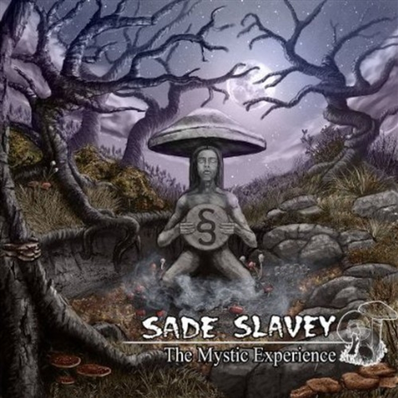Mystic Experience/Product Detail/Rock/Pop