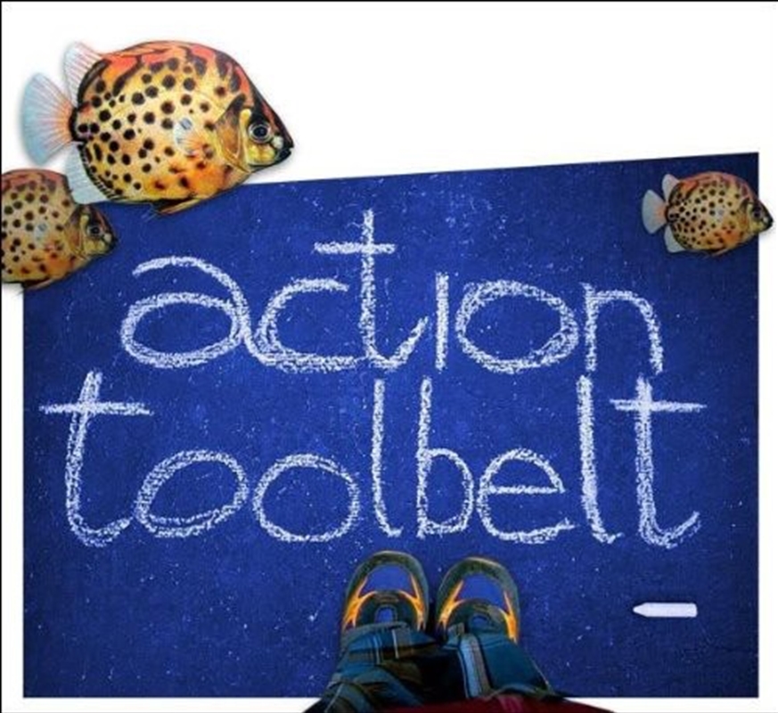 Action Toolbelt/Product Detail/Rock/Pop