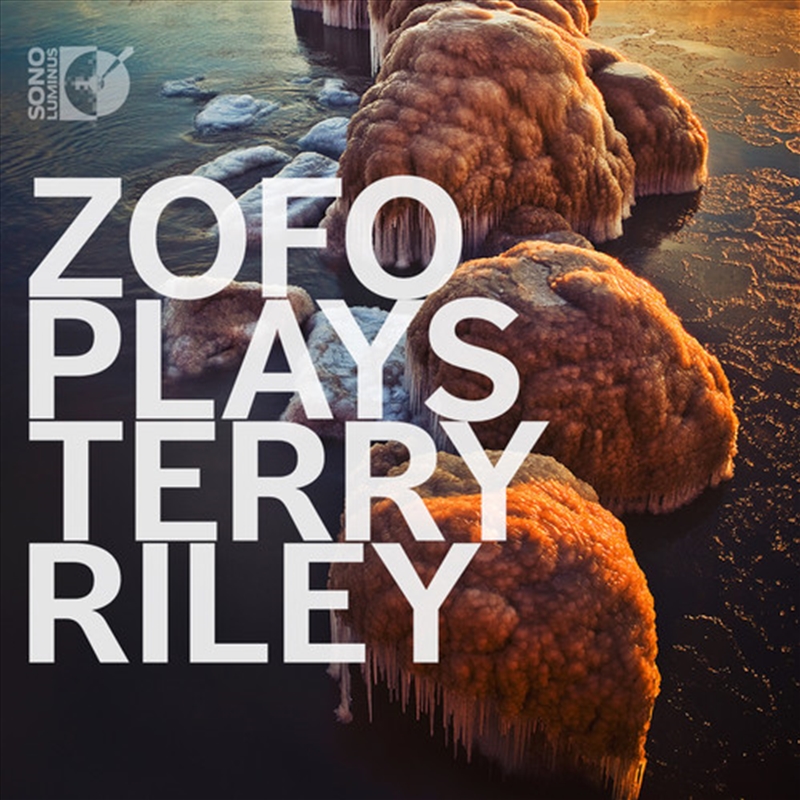 Plays Terry Riley/Product Detail/Classical