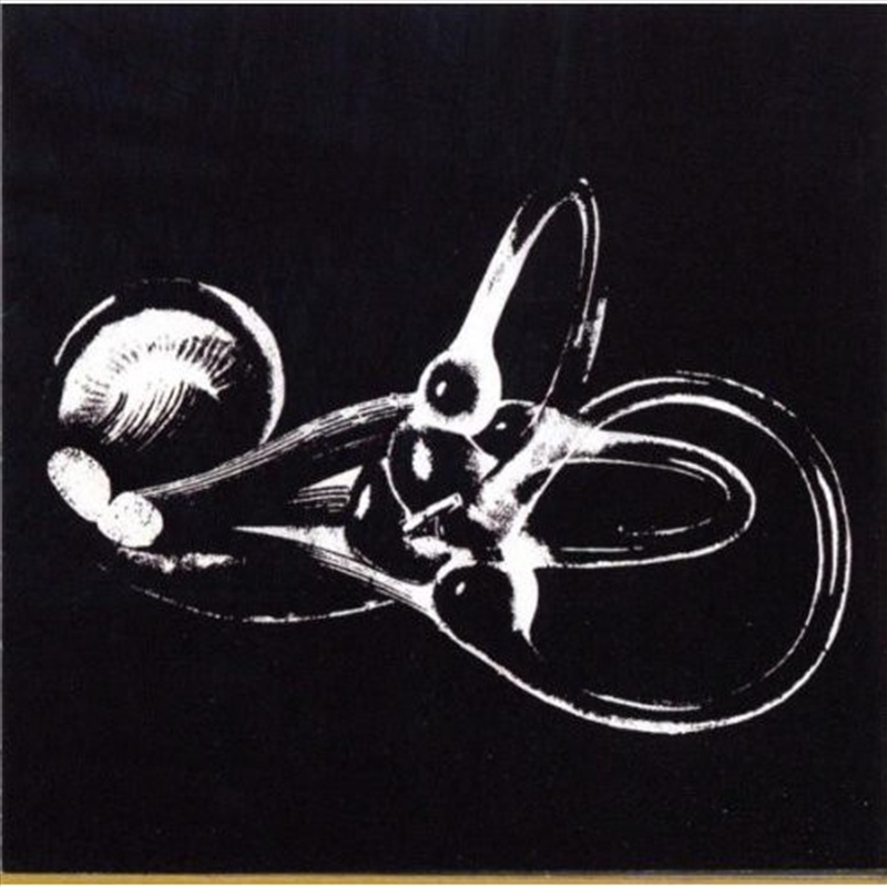 Obtainium/Product Detail/Rock/Pop