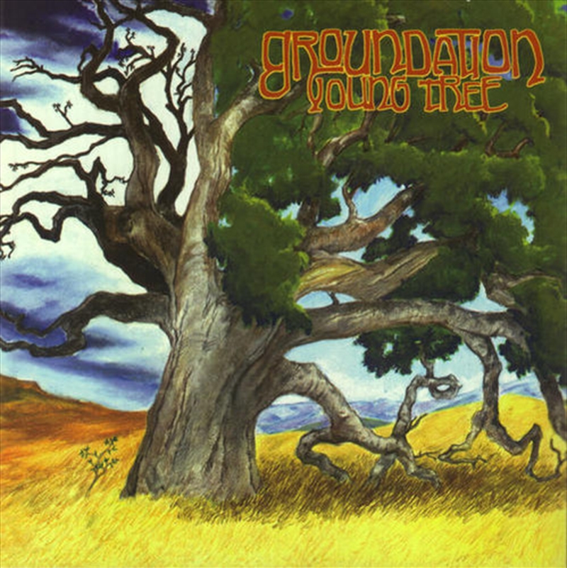 Young Tree/Product Detail/Reggae