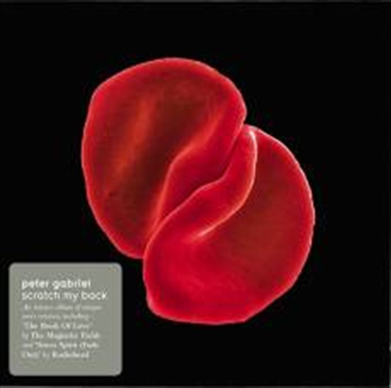 Scratch My Back/Product Detail/Rock/Pop