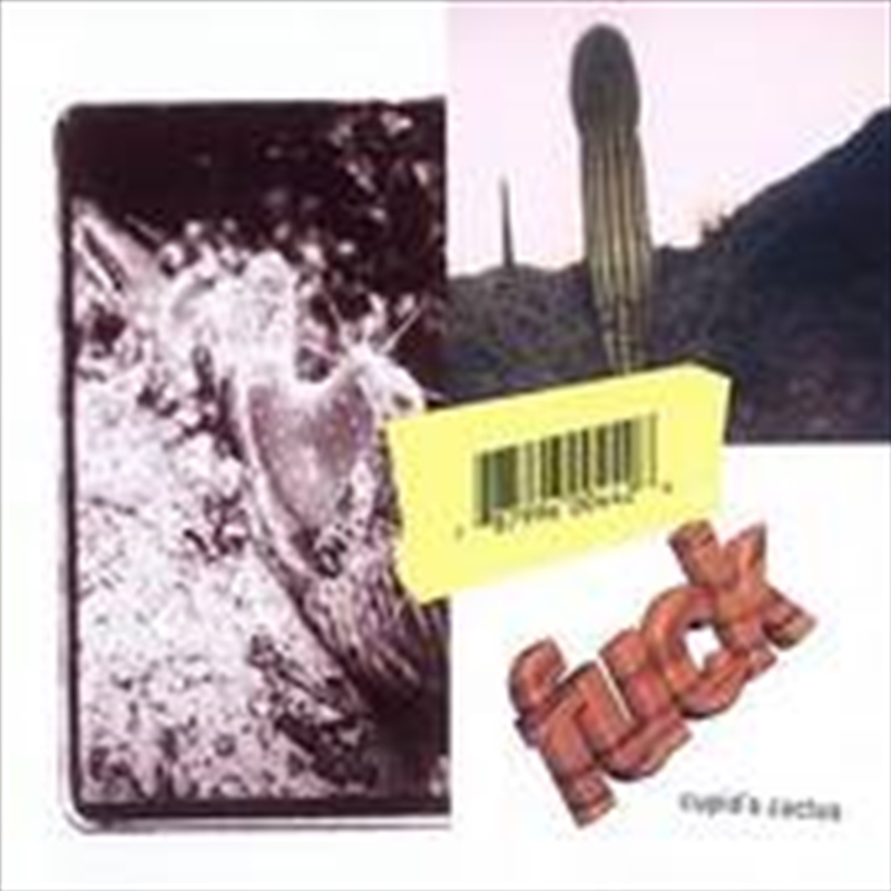 Cupids Cactus/Product Detail/Pop
