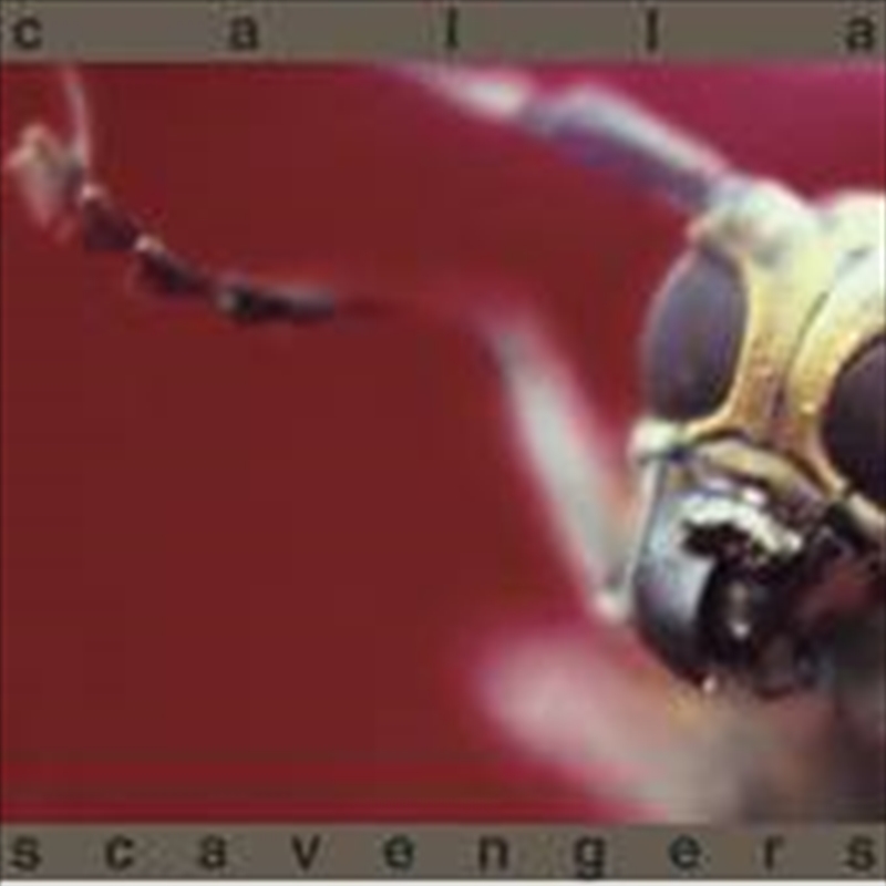 Scavengers/Product Detail/Rock/Pop