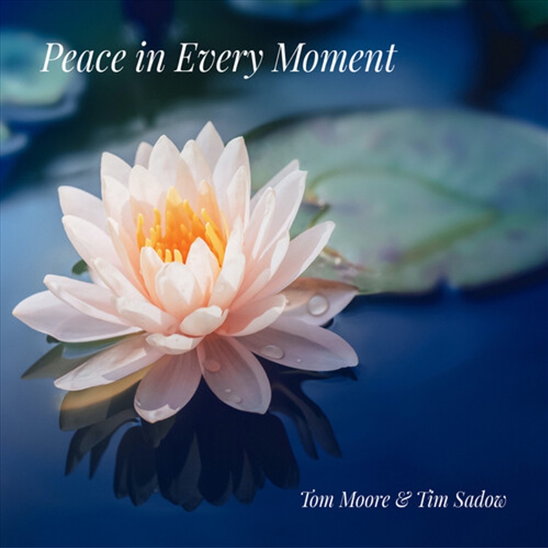 Peace In Every Moment/Product Detail/Pop
