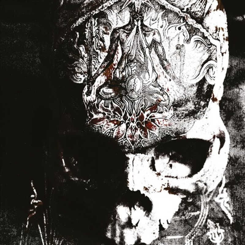 Temple Of Wounds/Product Detail/Rock/Pop